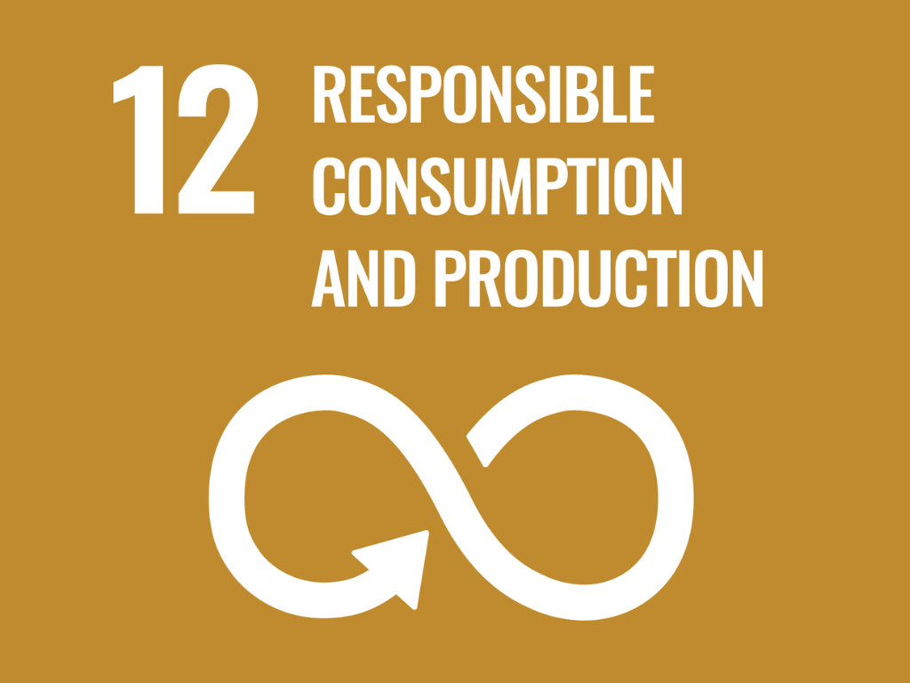 UN World Goal number 12 - Repsonsible cunsumption and production
